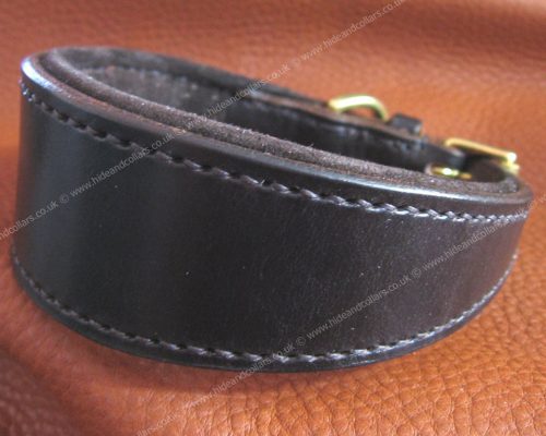 padded leather whippet collar